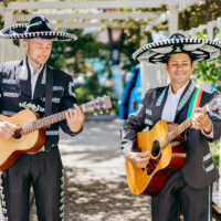 Mariachis