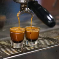 Coffee Shop / Barista