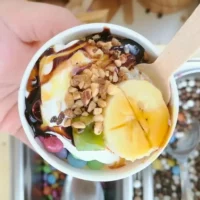 Frozen Yogurt