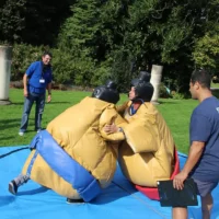 Sumo
